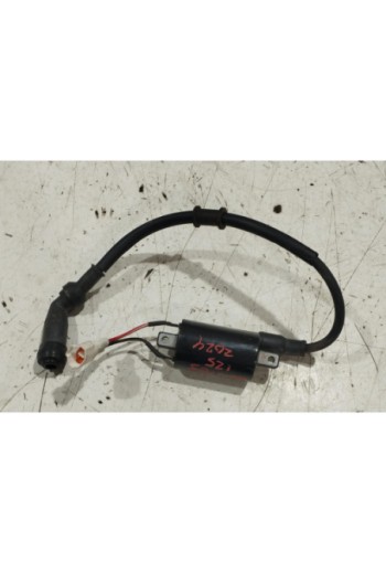 Bobina zontes zt125-d