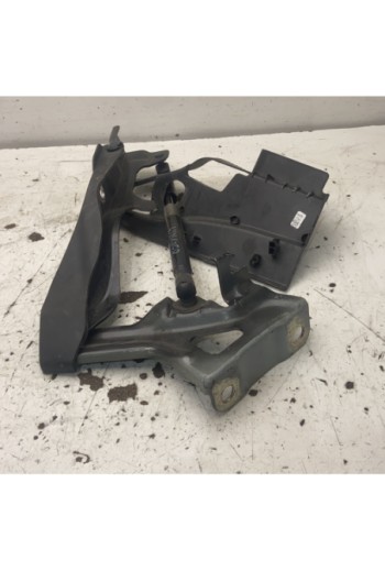 Cerniera anteriore sinistra...